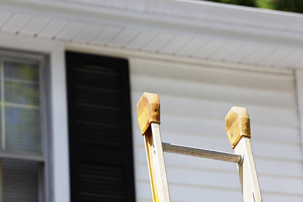 Best Yard Waste Removal  in Burlington, ND